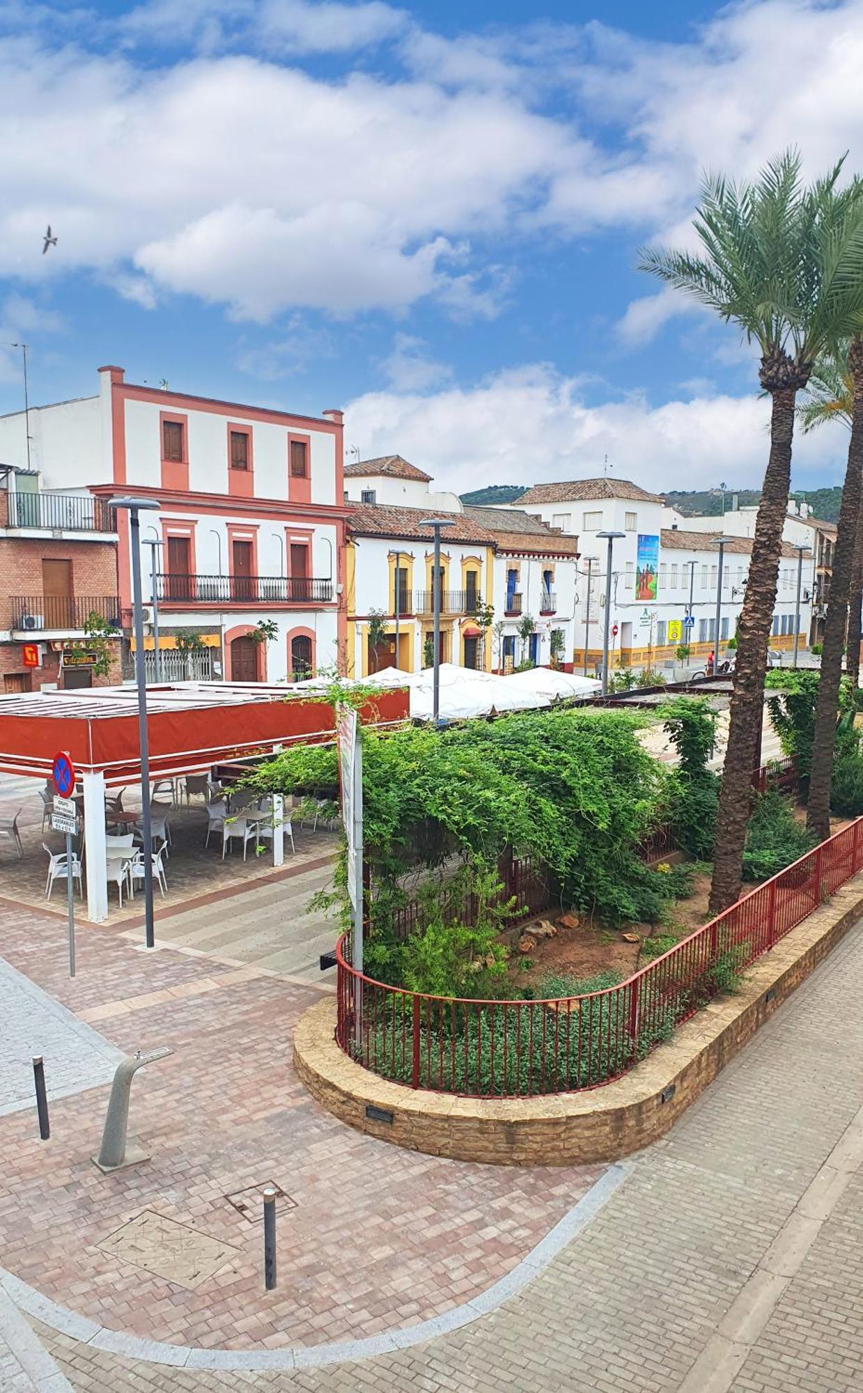Acogedor Piso En Villafranca De Cordoba Villafranca de Córdoba Exterior photo